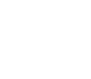Institut llull Marca White V